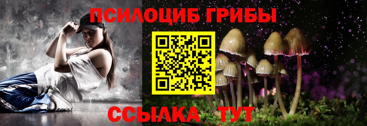 Псилоцибиновые грибы мицелий Шебекино