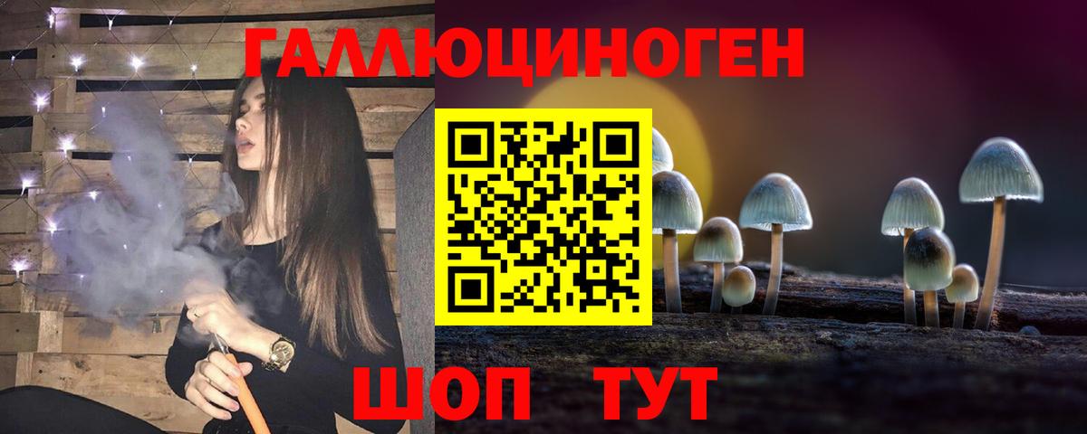 как найти   Псилоцибиновые грибы Magic Shrooms  Вход с VPN  Шебекино 