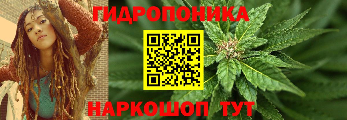 Канабис планчик  Вход с VPN  Шебекино  Канабис Ganja  Бошки марихуана LSD WEED 