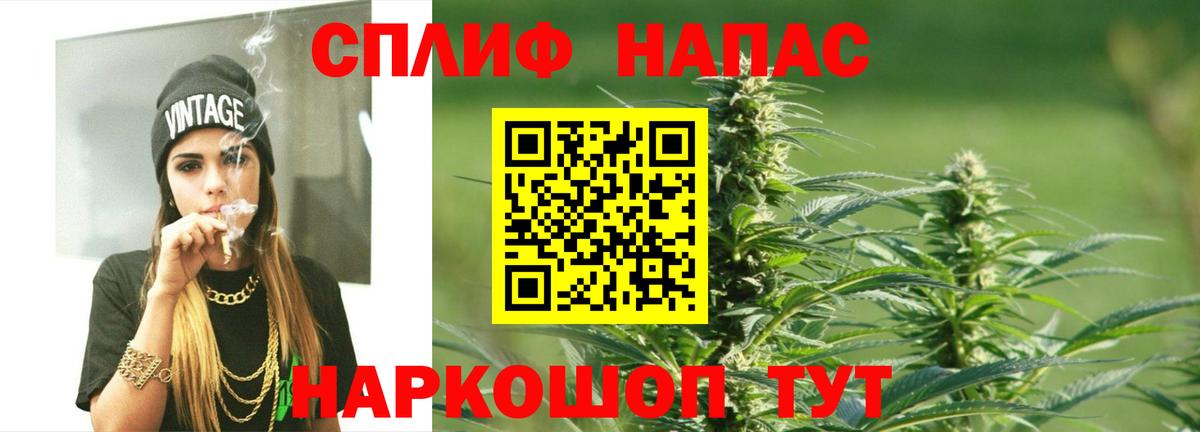 Конопля AK-47 Шебекино